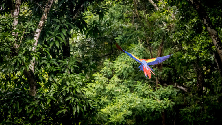 derecho ambiental araujo hernandez abogados col